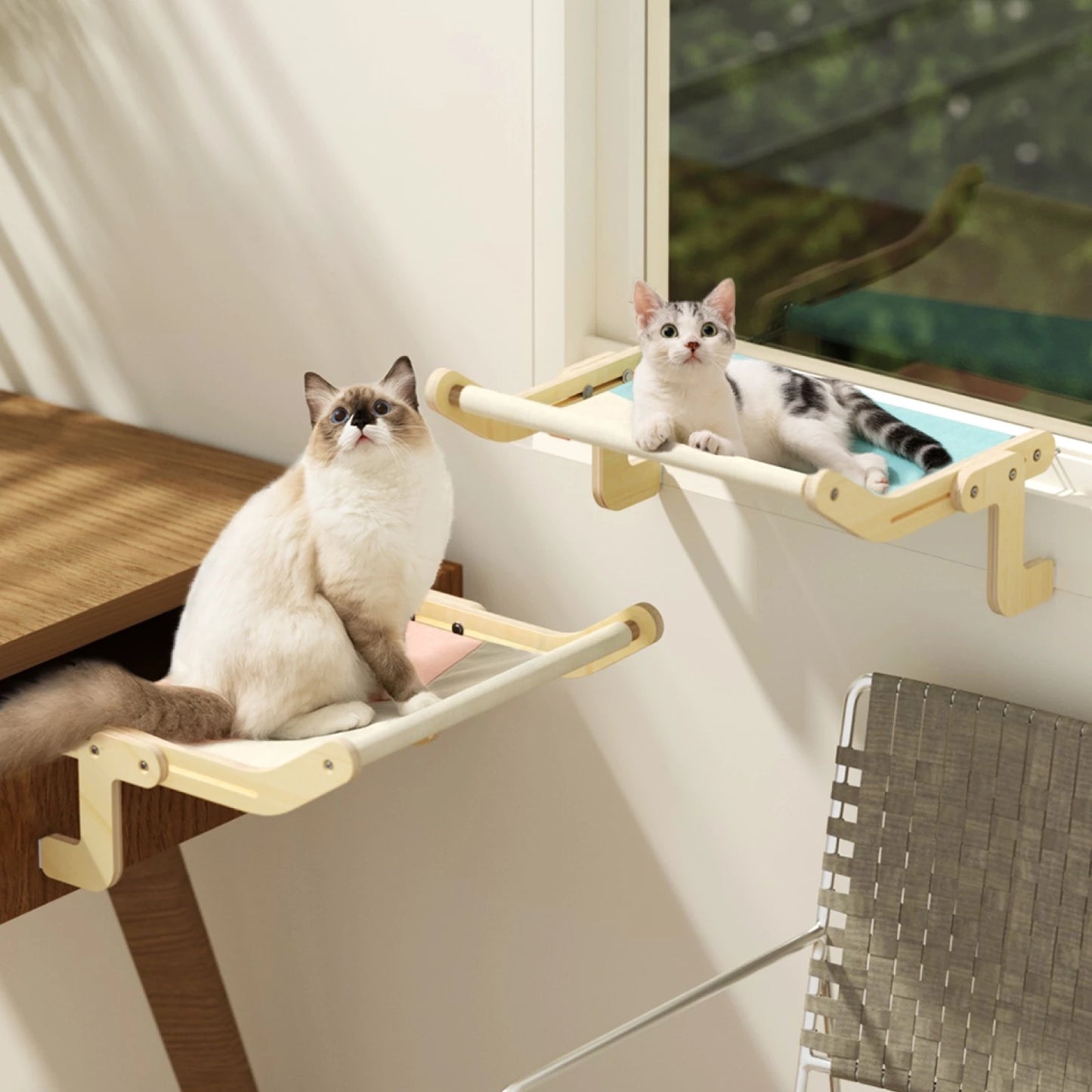 Cat Window Perch Wooden Hanging Bed with Washable Cotton Canvas for Indoor Cats