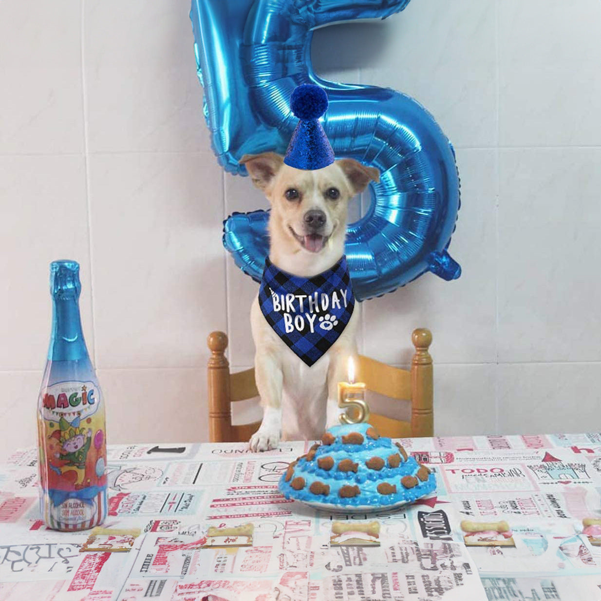 Pet Birthday Set Triangle Scarf & Hat for Dogs, Party Decoration & Outdoor Styling Creative