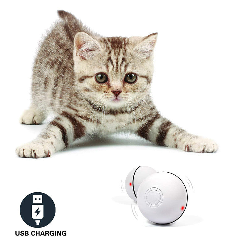 LED Laser Electronic Rolling Cat Toy Ball Interactive Pet Toy