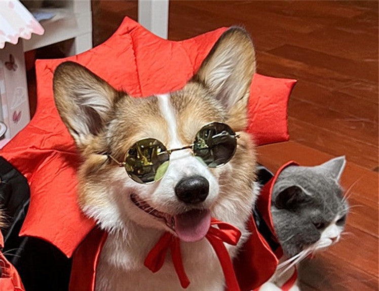 Halloween Pet Costume Vampire King Cape for Cats & Dogs
