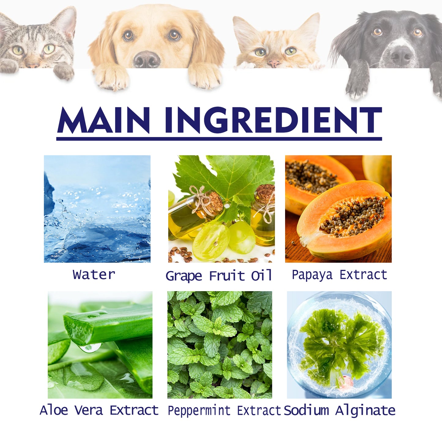 Pet V34 Toothpaste Bad Breath, Tartar & Gum Care for Dogs & Cats