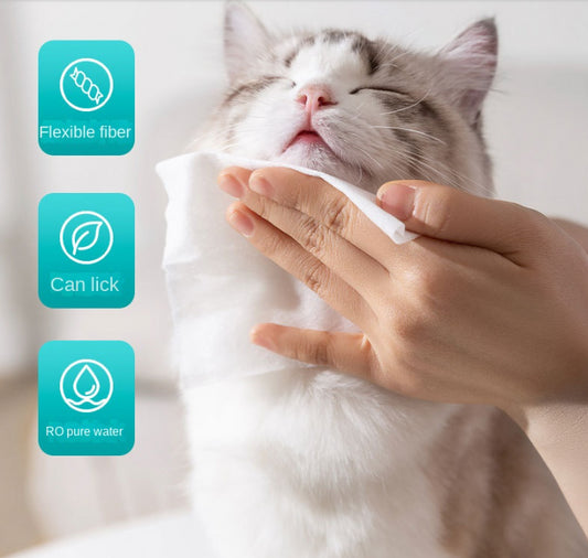 Pet Wet Wipes 100 Sheets for Cats and Dogs Eye Cleaning Tear Stain Wipes Extra Large and Thick Cat and Dog Supplies