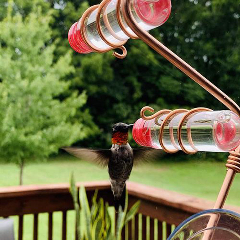Hummingbird Feeder with Suction Cup – Easy Clean Wild Bird Feeder for Garden & Deck