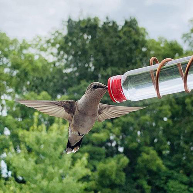 Hummingbird Feeder with Suction Cup – Easy Clean Wild Bird Feeder for Garden & Deck
