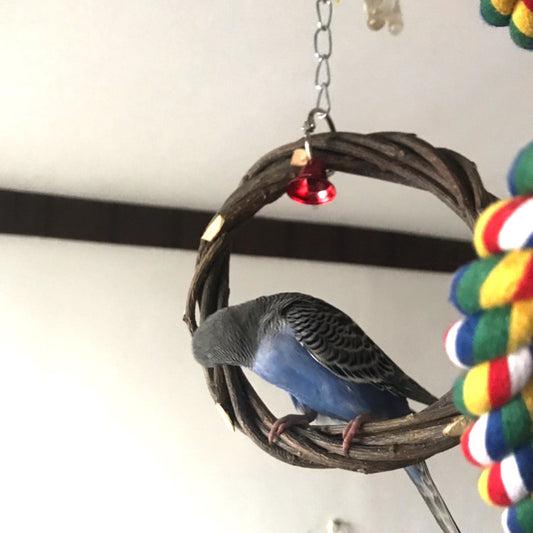 Bird Chewing Toy Rattan Ring Standing Frame for Bird Cage