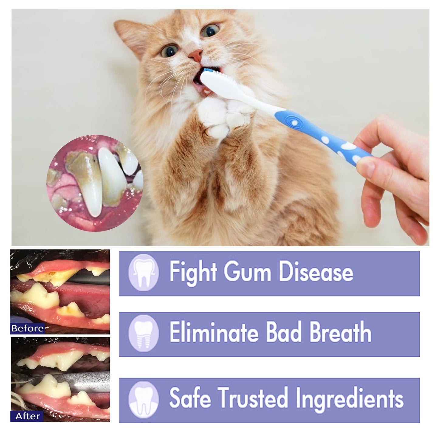 Pet V34 Toothpaste Bad Breath, Tartar & Gum Care for Dogs & Cats