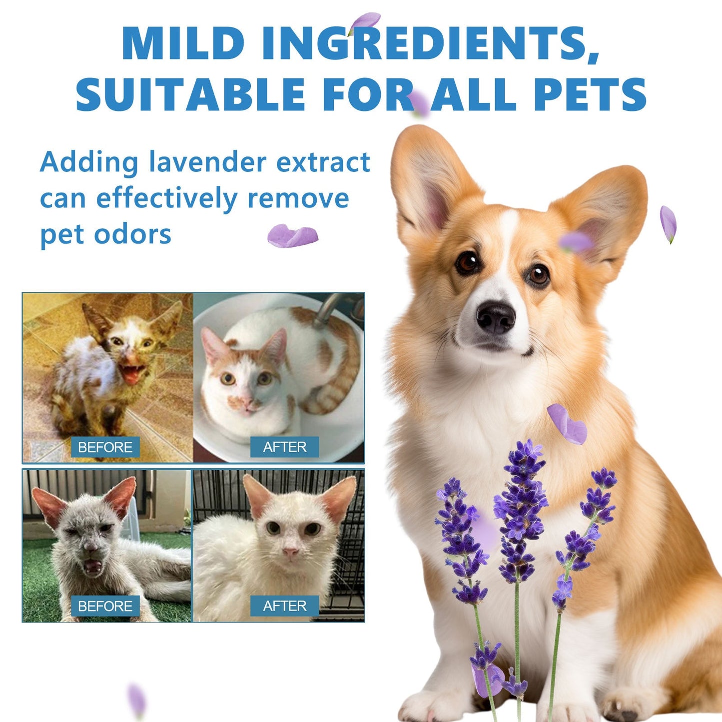Pet Hair Daily Gentle Cleaning & No-Rinse Care Essence for Cats & Dogs