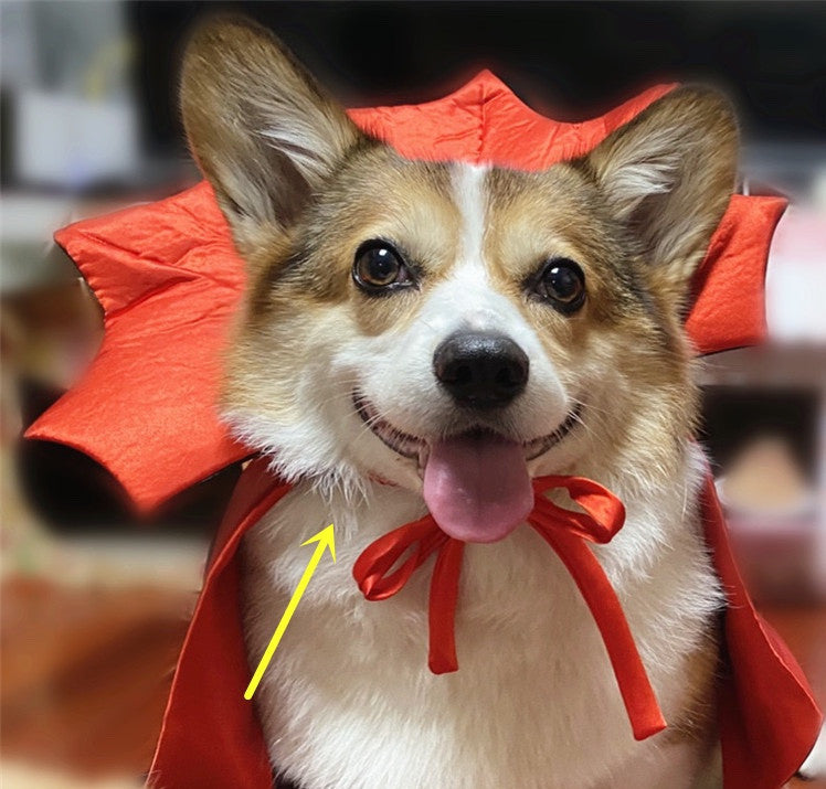 Halloween Pet Costume Vampire King Cape for Cats & Dogs
